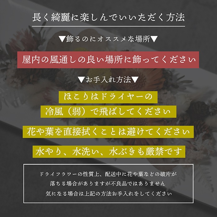 ������������ǽ������̵����  �ɥ饤�ե����åɥե졼��