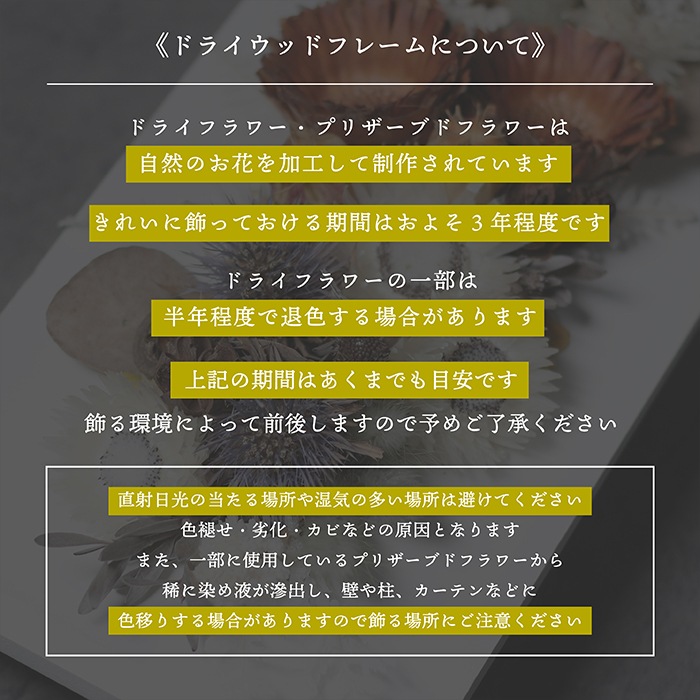 ������������ǽ������̵����  �ɥ饤�ե����åɥե졼��