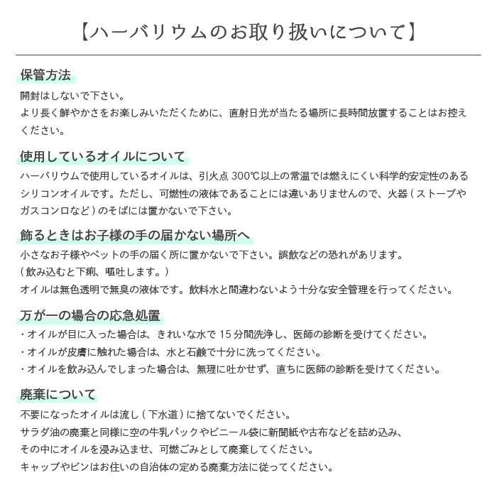 ������������ǽ������̵����  �쾣�ӥ������Υϡ��Хꥦ�� ��̾����Ħ�掠���ӥ���