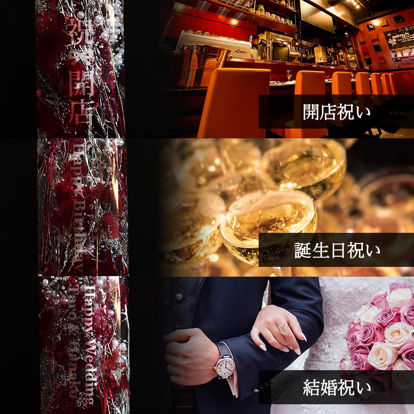 ������������ǽ������̵����  �쾣�ӥ������Υϡ��Хꥦ�� ��̾����Ħ�掠���ӥ���