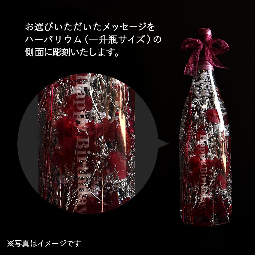 ������������ǽ������̵����  �쾣�ӥ������Υϡ��Хꥦ�� ��̾����Ħ�掠���ӥ���