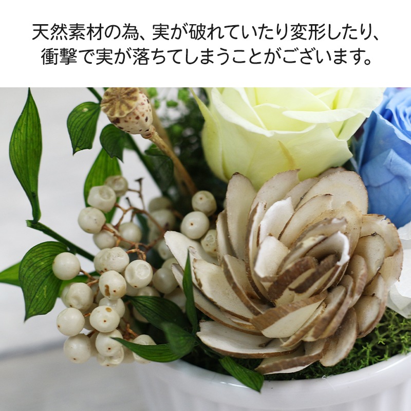 ǽ̵ ߥ˥󥸥 ʥץꥶ֥ɥե