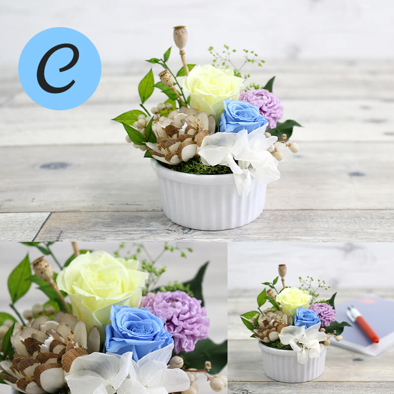 ǽ̵ ߥ˥󥸥 ʥץꥶ֥ɥե