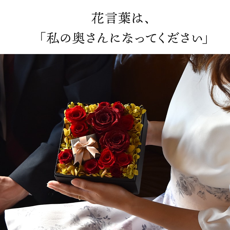 ������������ǽ������̵���� 12�ܤ��鯤��ͤޤä��ե��ܥå��� �ʥץꥶ���֥ɥե���