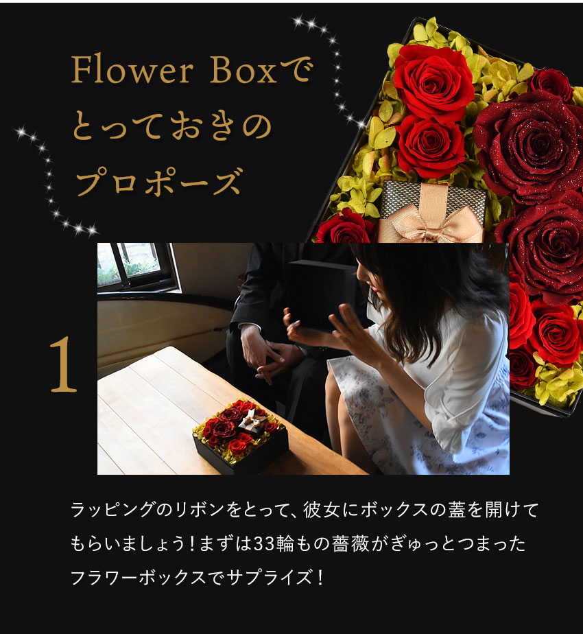������������ǽ������̵���� 12�ܤ��鯤��ͤޤä��ե��ܥå��� �ʥץꥶ���֥ɥե���