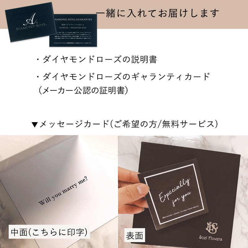 ������������ǽ������̵���� 12�ܤ��鯤��ͤޤä��ե��ܥå��� �ʥץꥶ���֥ɥե���