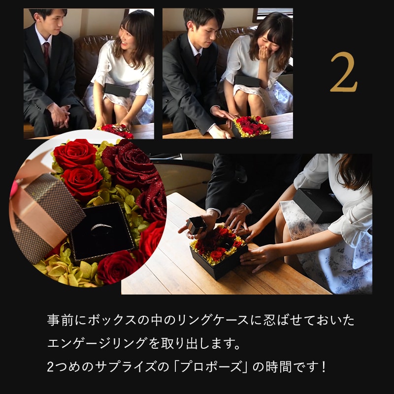 ������������ǽ������̵���� 12�ܤ��鯤��ͤޤä��ե��ܥå��� �ʥץꥶ���֥ɥե���