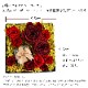 ������������ǽ������̵���� 12�ܤ��鯤��ͤޤä��ե��ܥå��� �ʥץꥶ���֥ɥե���