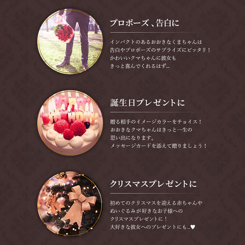 ������������ǽ��  ��������ɥ������֡����ߥ��ޤΥޥå��� �ʥץꥶ���֥ɥե���