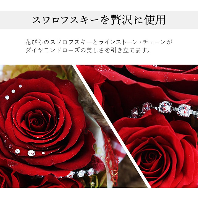 ������������ǽ��  ��������ɥ������֡����ߥ��ޤΥޥå��� �ʥץꥶ���֥ɥե���