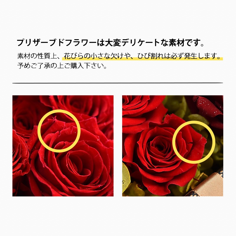 ������������ǽ��  ��������ɥ������֡����ߥ��ޤΥޥå��� �ʥץꥶ���֥ɥե���