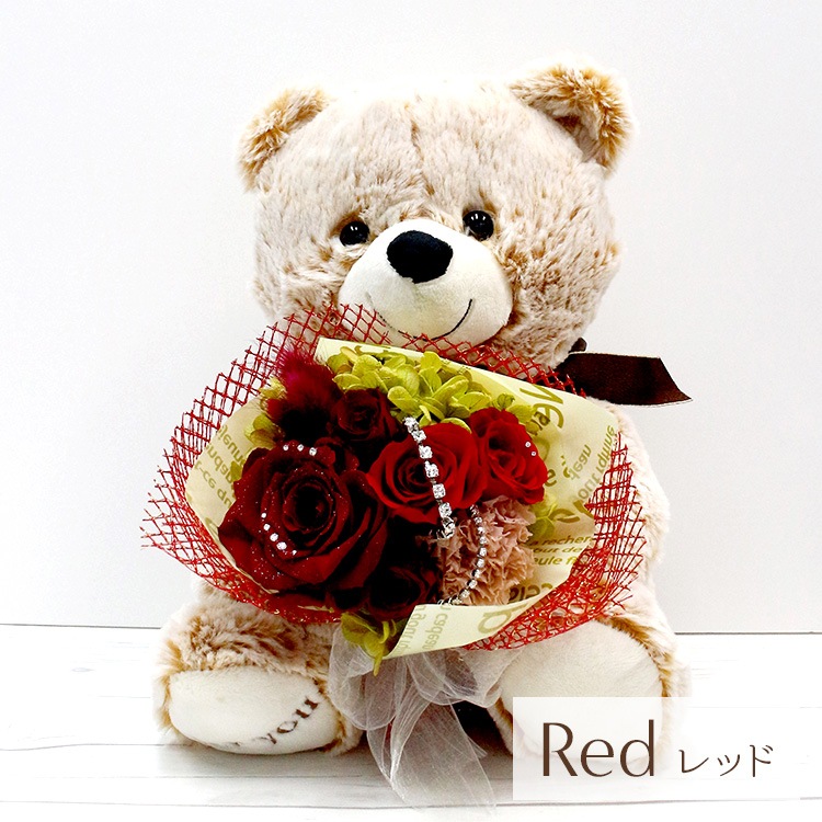 ������������ǽ��  ��������ɥ������֡����ߥ��ޤΥޥå��� �ʥץꥶ���֥ɥե���