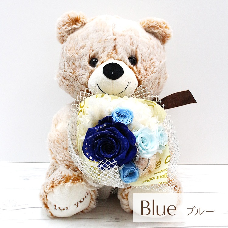 ������������ǽ��  ��������ɥ������֡����ߥ��ޤΥޥå��� �ʥץꥶ���֥ɥե���