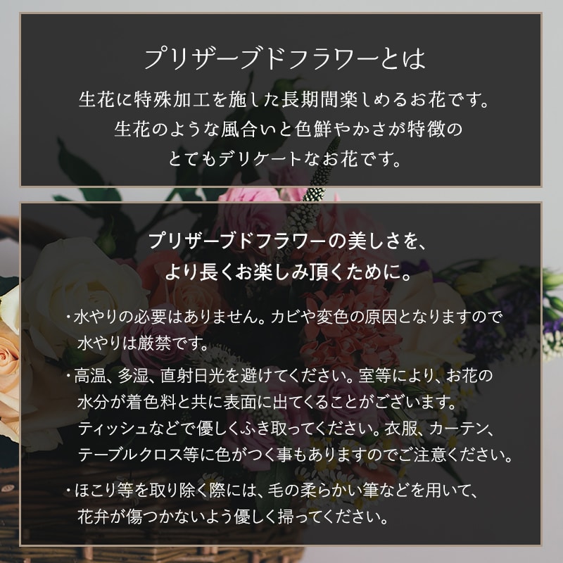 ǽ̵ ɥ [ڡѡ쥶] ץꥶ֥ɥե