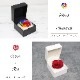 ǽ̵ ɥ [ڡѡ쥶] ץꥶ֥ɥե