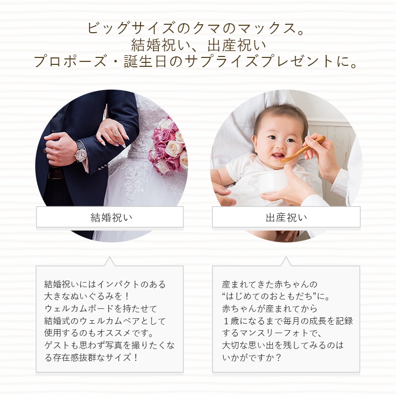 ������������ǽ������̵����  ���ޤΥޥå��� �Υӥå��������ϡڥ��ޤΤ̤�����ߡ�