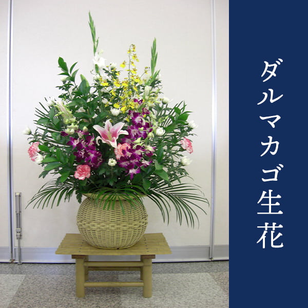 ޥ֡ [Ϥǽꥢ˭ԡ;]