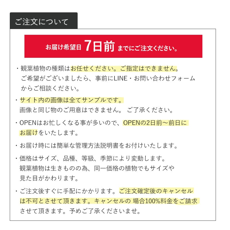 տʪޤץM 7ȭ8ȭ [Ϥǽꥢ˭ԡ;]