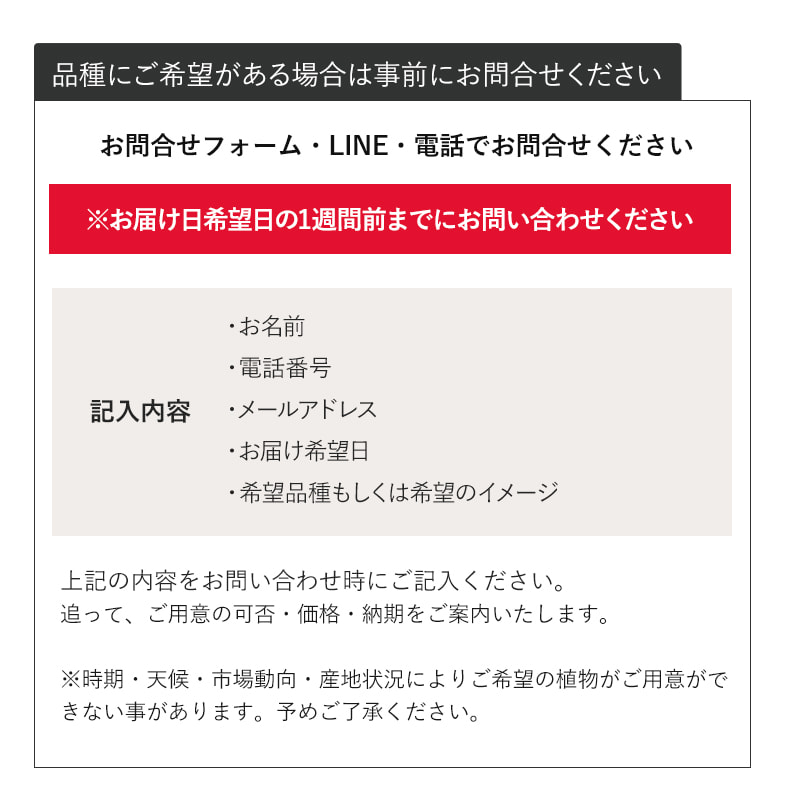 տʪޤץM 7ȭ8ȭ [Ϥǽꥢ˭ԡ;]