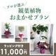���տ�ʪ���ޤ����ץ��M ��7��ȭ��8��ȭ�� [���Ϥ���ǽ���ꥢ��˭���ԡ��;���]