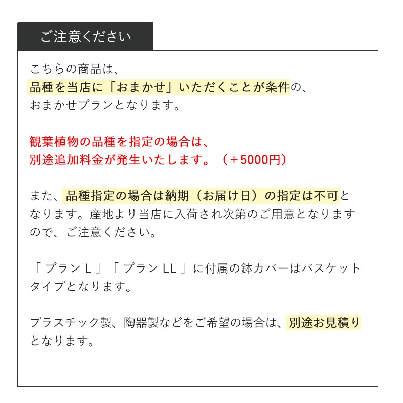 տʪޤץL 9ȭ10ȭ [Ϥǽꥢ˭ԡ;]