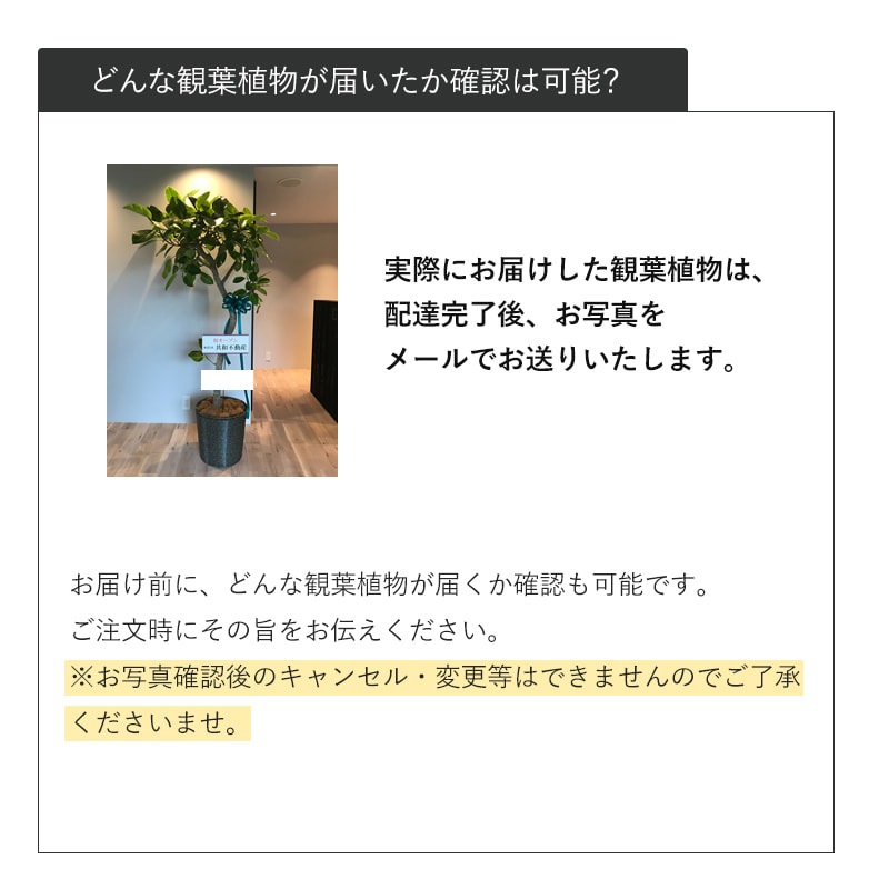 տʪޤץL 9ȭ10ȭ [Ϥǽꥢ˭ԡ;]