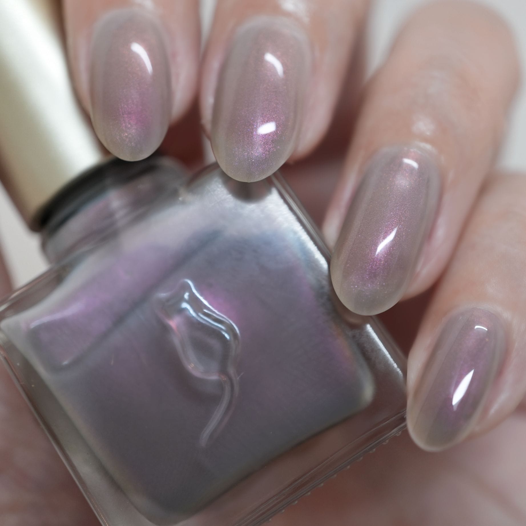 【予約販売】1170 ネイルエス  RiVi【発送時期5月中旬】