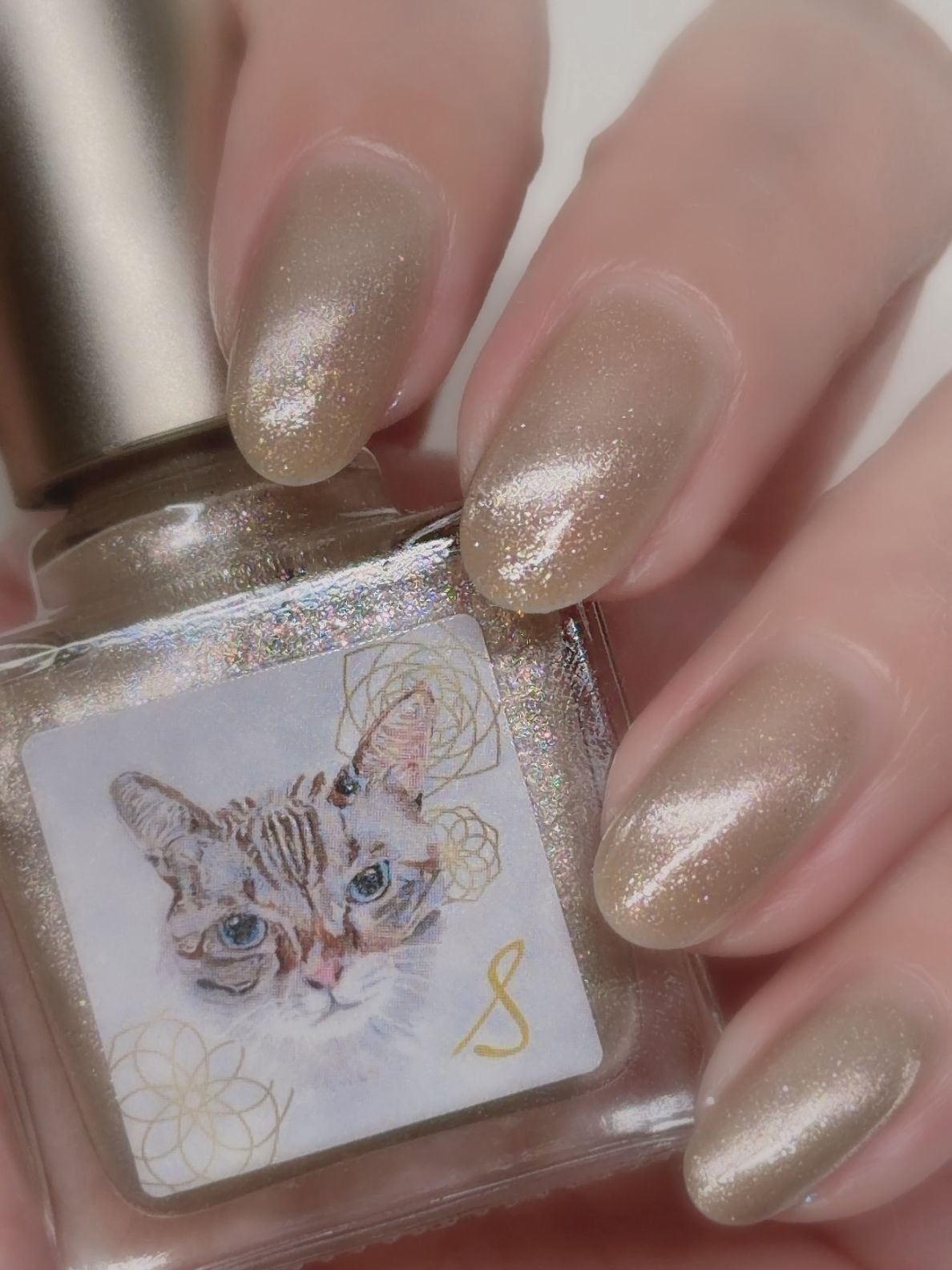 予約販売】1189 ネイルエス 透明紅茶M【発送時期2/25～27】｜ネイルエス