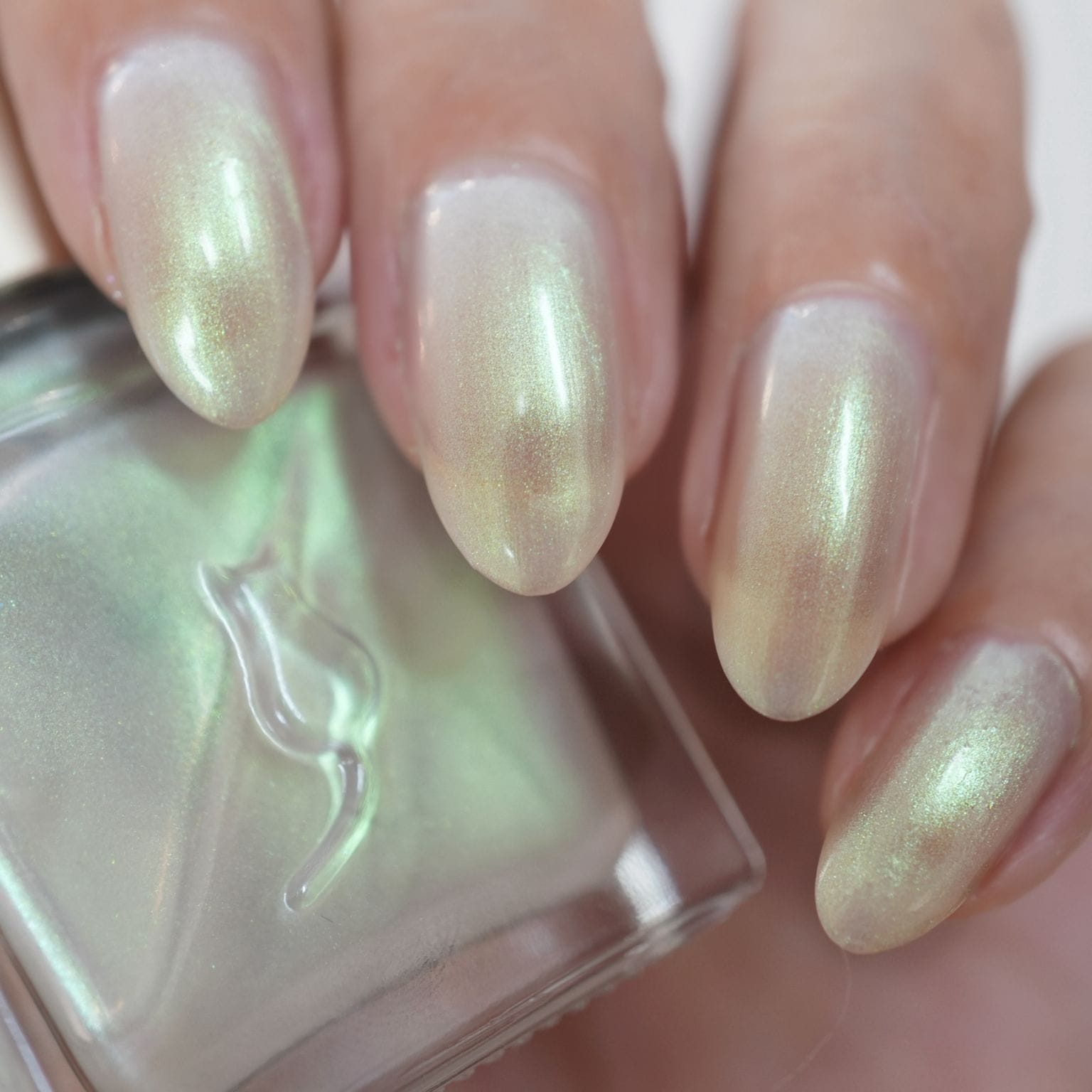 【予約販売】ネイルエス time for walkies【発送時期2/25～27】