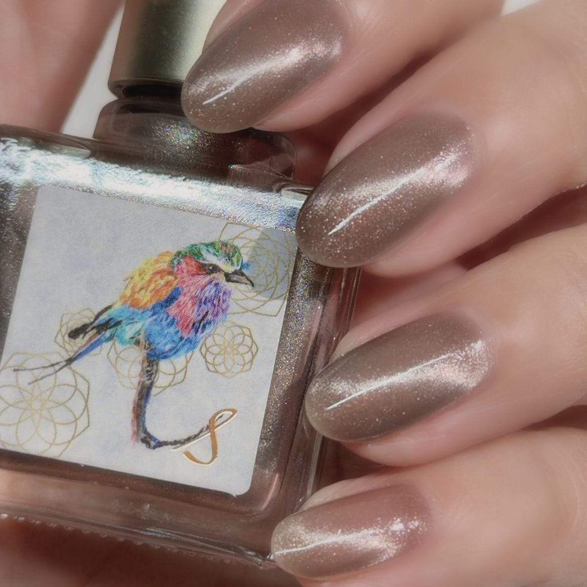 予約販売】1190 ネイルエス 夜間飛行M【発送時期2/25～27】｜ネイルエス