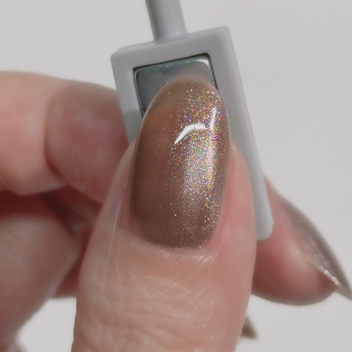 【予約販売】1190 ネイルエス 夜間飛行M【発送時期3/11～13】