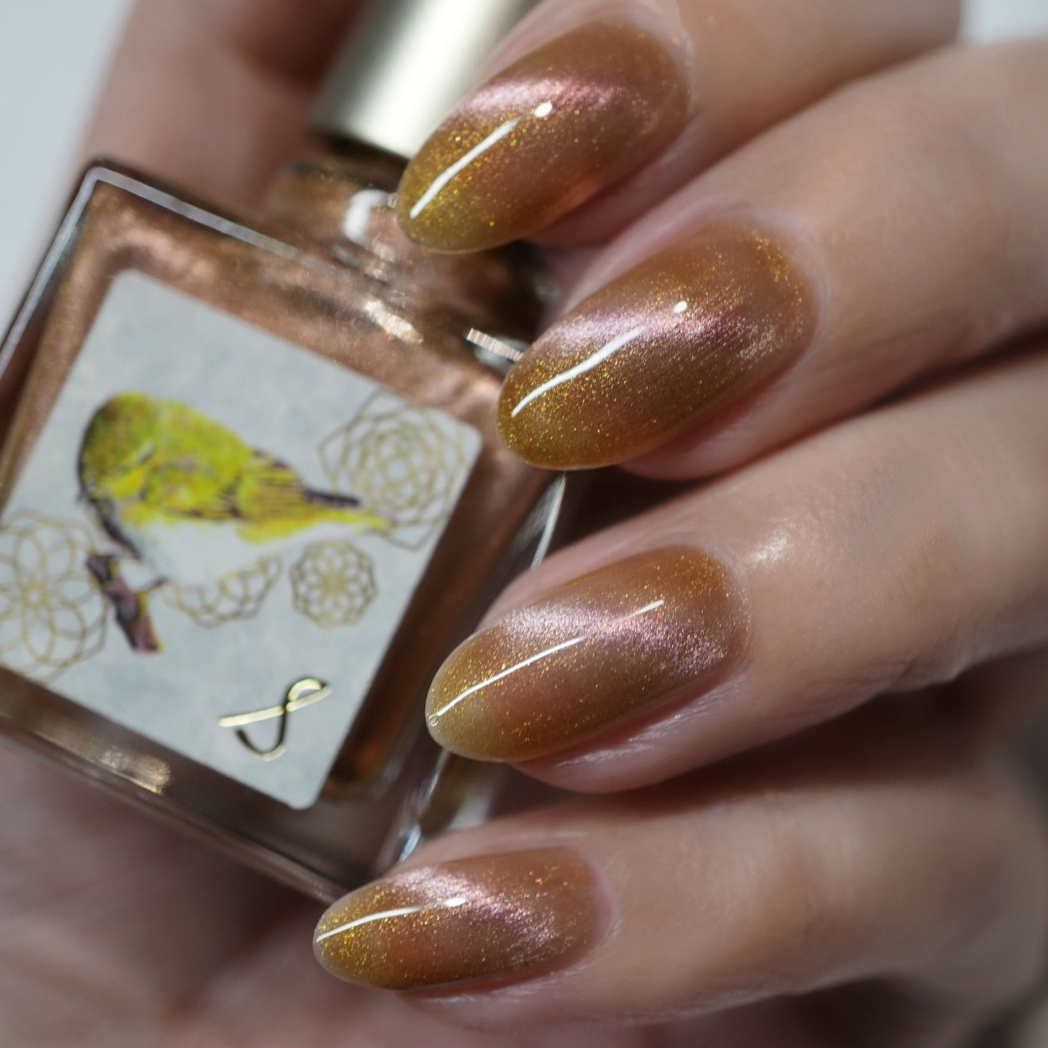 【予約販売】1194 ネイルエス　mimoza 【発送時期5月中旬】