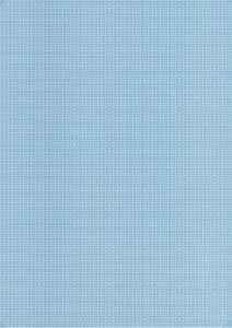 PCA PA1113G 給与明細書 単票A (罫線なし)【単票】