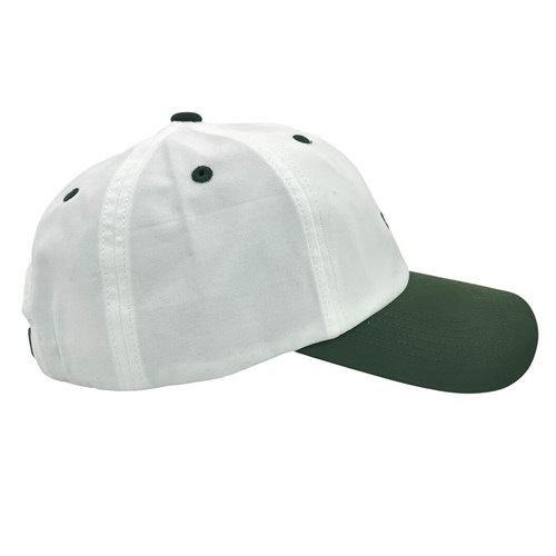 AST CAP
