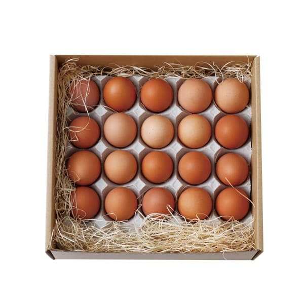 �Τʤ�������褿�ޤ�