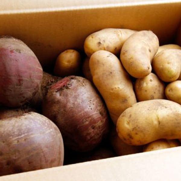 中村農場の栽培期間中農薬不使用ビーツとメークインのセット | 中村