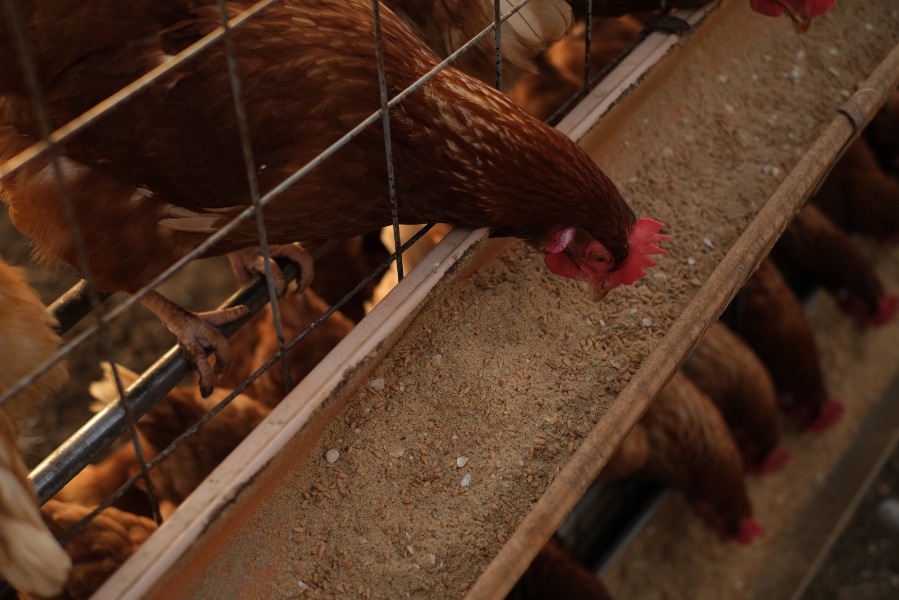 ʿ������ȥޥ�͡����Υ��å�