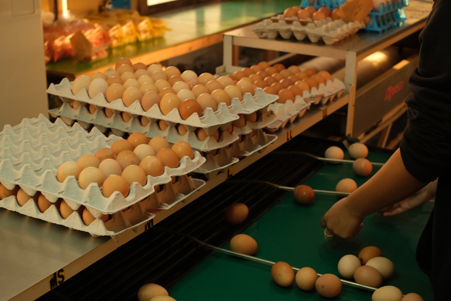 ʿ������ȥޥ�͡����Υ��å�