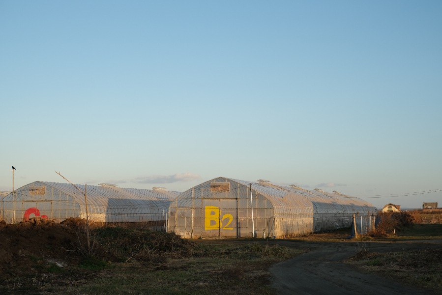 ʿ������ȥޥ�͡����Υ��å�