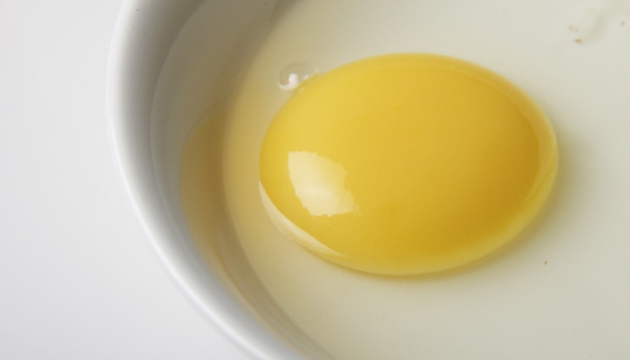 ʿ������ȥޥ�͡����Υ��å�