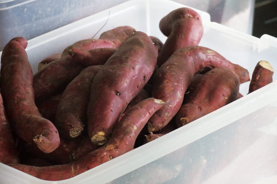 ���������ꥸ�ʥ� �����򥻥å�