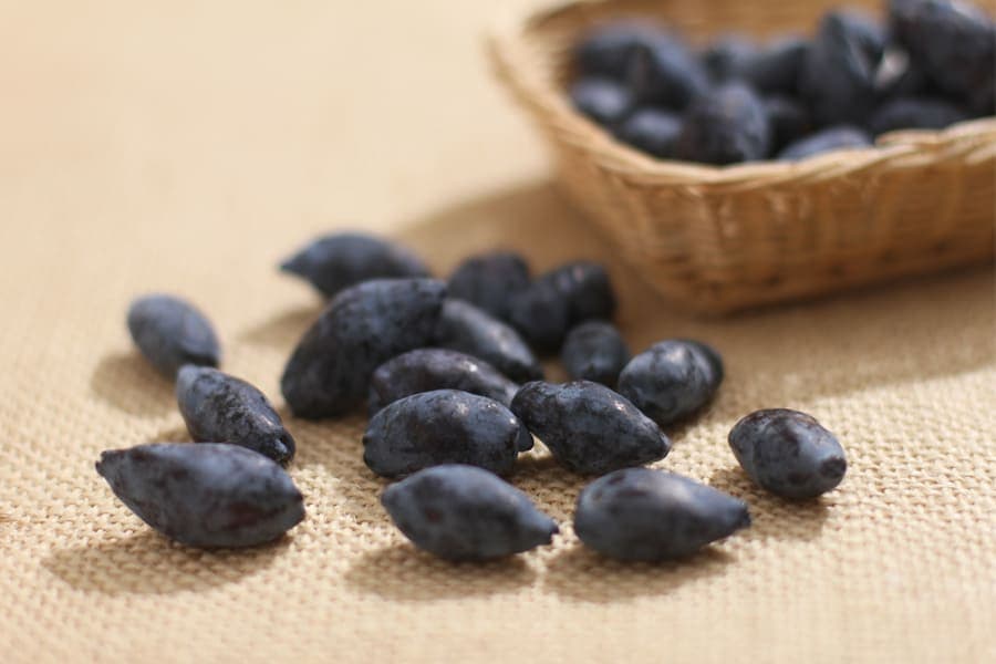 3��Υ���ॻ�å�