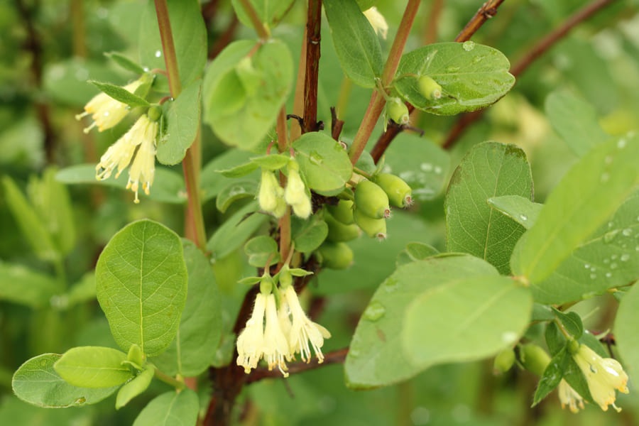 3��Υ���ॻ�å�