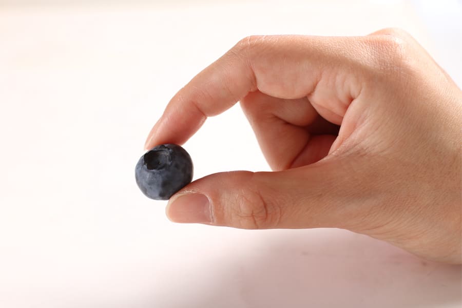 �֥롼�٥꡼������ѥ�����