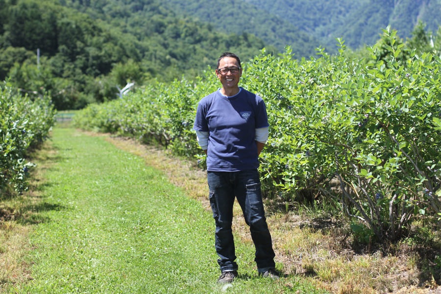 �֥롼�٥꡼������ѥ�����