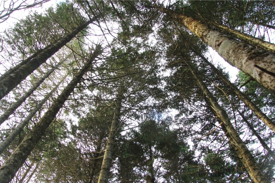 ȥɥޥ֤Ȥɤäססޥåɡֵ