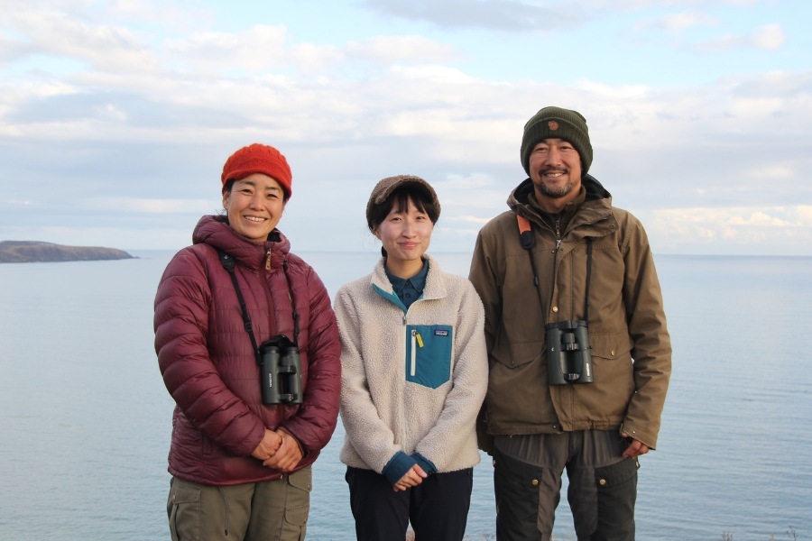 ȥɥޥ֤Ȥɤäססޥåɡֵ