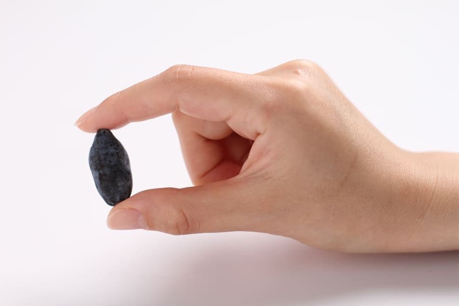 �ϥ����åץ�����ѥ�����