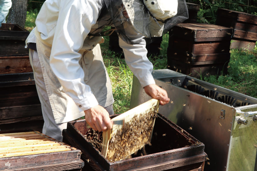 �ʤ�����ηäߥϥ����åץ������ϥˡ��ޥ�������