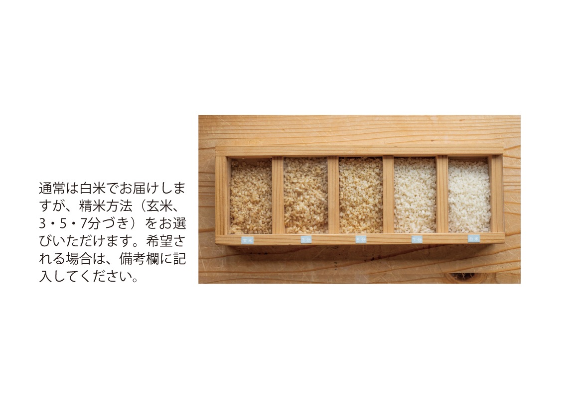 ̺ƿѥå2kg2ʤʤʤĤܤ